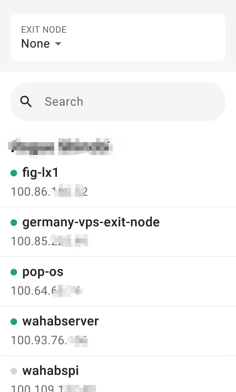 My Tailscale network dashboard